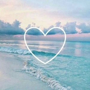 Meet your Posher, Addison